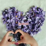 قلب و زعفران