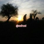 صبح و زعفران