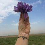 زعفران در آسمان