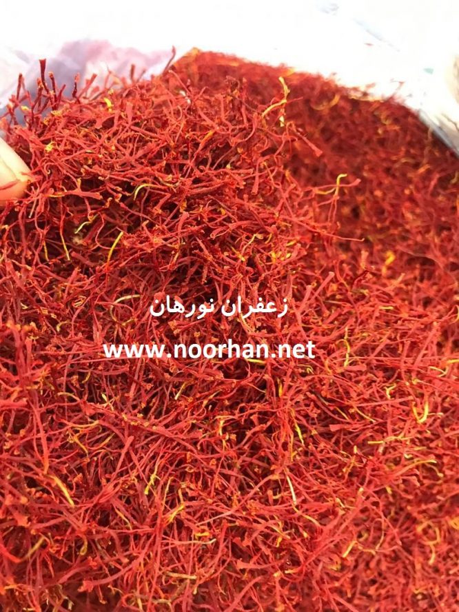 پوشال قلمدار